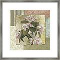 Botanical Blossom Framed Print