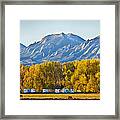 Boulder County Colorado Flatirons Autumn View Framed Print