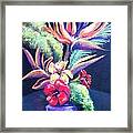 Bouquet With Bird Of Paradise Framed Print