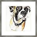 Boxer Dog Poster Framed Print