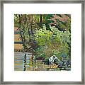 Boy In Park Framed Print