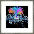 Brain Shaped Circuit Board With Fibres Framed Print