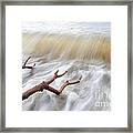 Branches In Water Framed Print