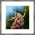 Breakfast Framed Print