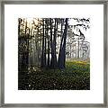 Breaking Through Morning Fog Framed Print