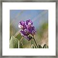 Breathe In The Air No.2 Framed Print