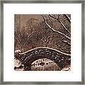 Bridge In Central Park Framed Print