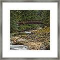 Bridge In The Woods Framed Print