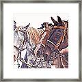 Bridle Gossip Framed Print