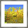 Bright Autumn Colors Framed Print