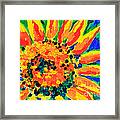 Bright Colorful Single Sunflower Acrylic Painting Framed Print