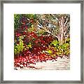 Bright Red By The Beach Framed Print