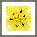 Bright Spot In My Day Framed Print