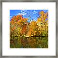 Brilliant Bright Colorful Autumn Trees On The Canal Framed Print