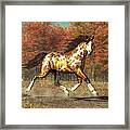 Bringer Of Fall Framed Print