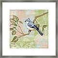 Brocade Songbird Ii Framed Print