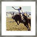 Bronco Rider Framed Print