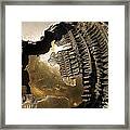 Bronze Abstract Framed Print