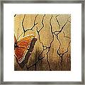 Brown Butterfly Framed Print