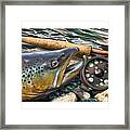 Brown Trout Sunset Framed Print