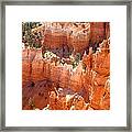 Bryce Canyon 138 Framed Print