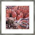 Bryce Canyon Landscape With Old Stub On Framed Print