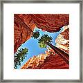 Bryce Canyon National Park Utah Framed Print