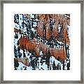 Bryce Canyon Series Nbr 22 Framed Print