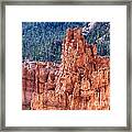 Bryce Canyon Utah Views 524 Framed Print