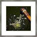Bubbling Water Framed Print