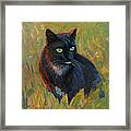 Bubu In The Sunset Framed Print