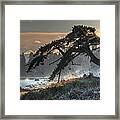 Buccaneer Beach Framed Print