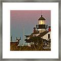Buck By Point Pinos Lighthouse Pacific Grove 2014 Framed Print