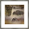 Buffalo Dreams - Wildlife Framed Print