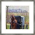 Buggy Ride Framed Print