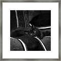 Bugzy In Black And White Framed Print