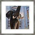 Bull Elephant In Natural History Rotunda Framed Print