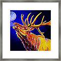 Bull Moon Framed Print