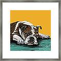 Bulldog On Yellow Framed Print
