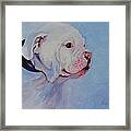 Bulldog Pup Framed Print