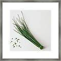 Bunch Of Chives With Cut Chives, White Background Framed Print