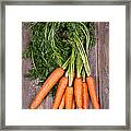 Bunched Carrots Framed Print