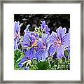 Bunches Framed Print