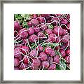 Bunches Of Radishes Framed Print