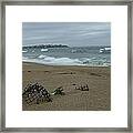 Buried In The Storm Framed Print