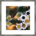 Bursting With Happiness Framed Print