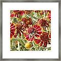 Busy Bee Framed Print