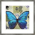 Butterfly Art - S02b Framed Print