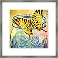 Butterfly Blue Glass Jar Framed Print