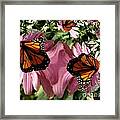 Butterfly Fractal Framed Print